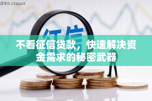 多伦不看征信贷款，快速解决资金需求的秘密武器