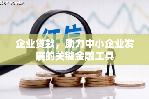 多伦企业贷款，助力中小企业发展的关键金融工具