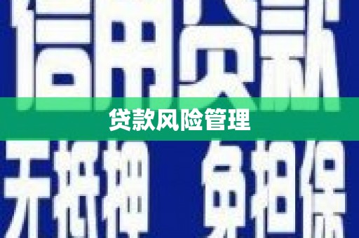 多伦贷款风险管理