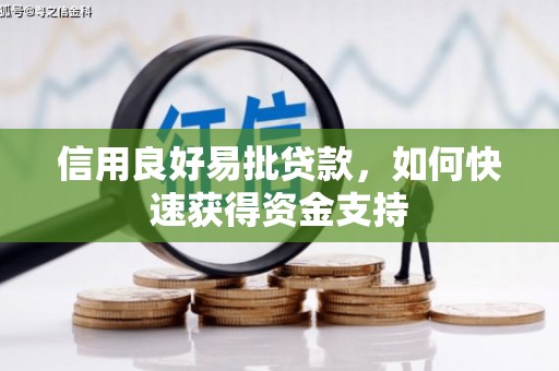 多伦信用良好易批贷款，如何快速获得资金支持