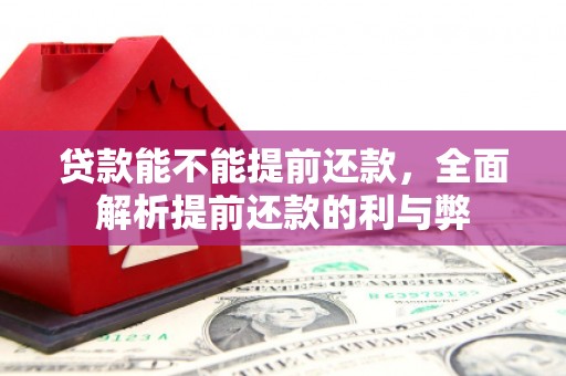 多伦贷款能不能提前还款，全面解析提前还款的利与弊