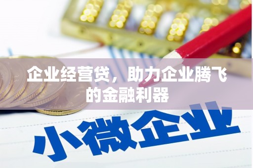 多伦企业经营贷，助力企业腾飞的金融利器
