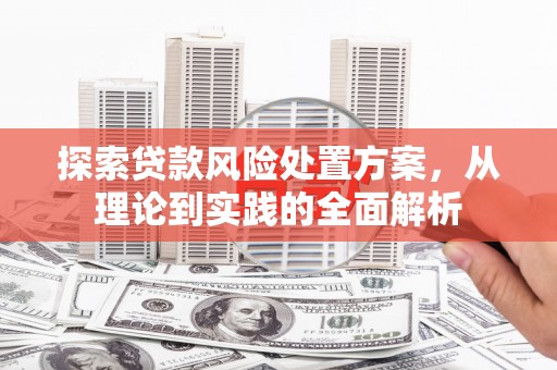 多伦探索贷款风险处置方案，从理论到实践的全面解析