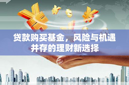 多伦贷款购买基金，风险与机遇并存的理财新选择