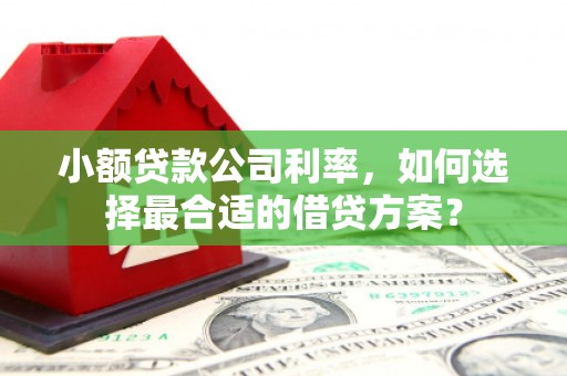 多伦小额贷款公司利率，如何选择最合适的借贷方案？