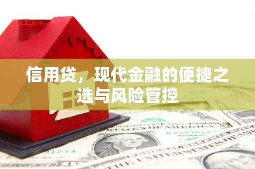 多伦信用贷，现代金融的便捷之选与风险管控
