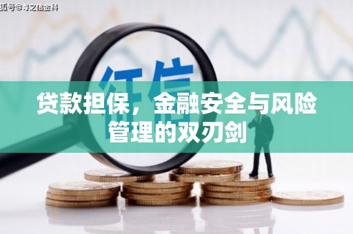 多伦贷款担保，金融安全与风险管理的双刃剑