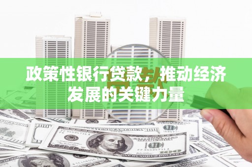 多伦政策性银行贷款，推动经济发展的关键力量