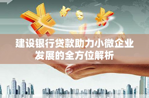 多伦建设银行贷款助力小微企业发展的全方位解析
