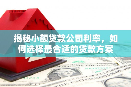 多伦揭秘小额贷款公司利率，如何选择最合适的贷款方案