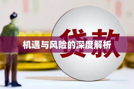 多伦机遇与风险的深度解析