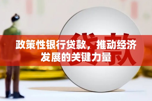 多伦政策性银行贷款，推动经济发展的关键力量