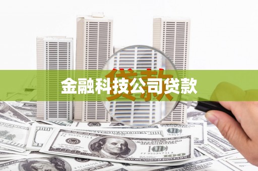 多伦金融科技公司贷款