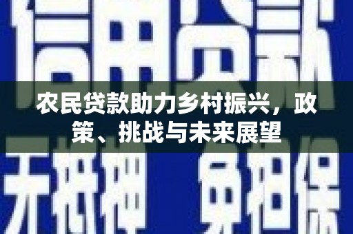 多伦农民贷款助力乡村振兴，政策、挑战与未来展望