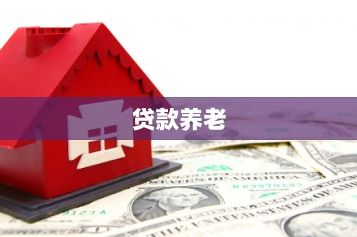 多伦贷款养老