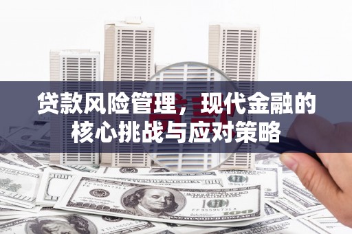 多伦贷款风险管理，现代金融的核心挑战与应对策略