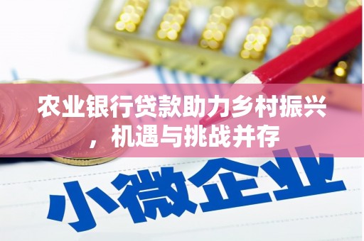 多伦农业银行贷款助力乡村振兴，机遇与挑战并存