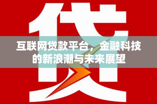 多伦互联网贷款平台，金融科技的新浪潮与未来展望