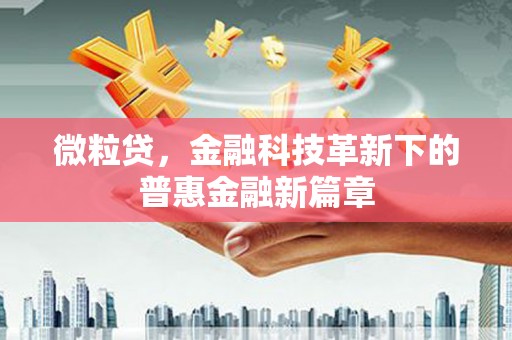 多伦微粒贷，金融科技革新下的普惠金融新篇章