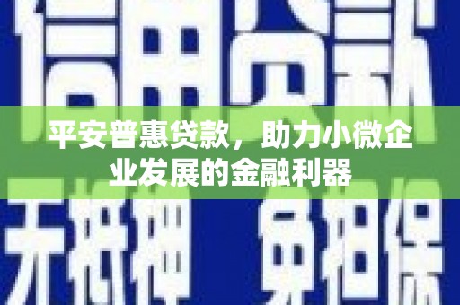 多伦平安普惠贷款，助力小微企业发展的金融利器