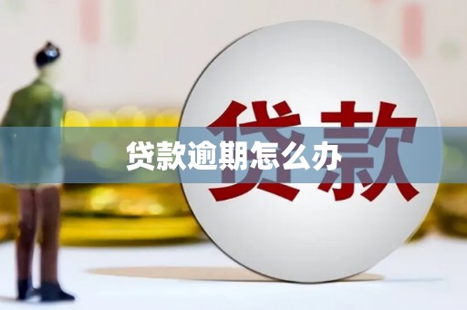 多伦贷款逾期怎么办