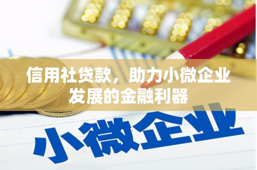多伦信用社贷款，助力小微企业发展的金融利器