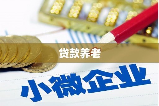 多伦贷款养老
