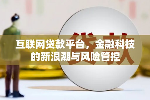 多伦互联网贷款平台，金融科技的新浪潮与风险管控