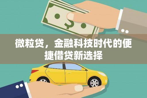 多伦微粒贷，金融科技时代的便捷借贷新选择