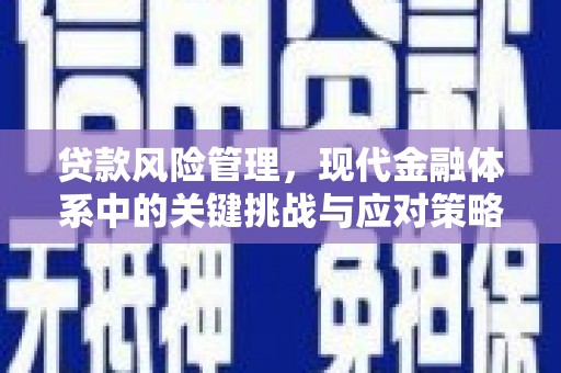 多伦贷款风险管理，现代金融体系中的关键挑战与应对策略