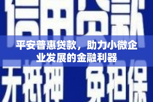 多伦平安普惠贷款，助力小微企业发展的金融利器