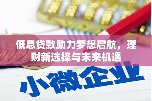 多伦低息贷款助力梦想启航，理财新选择与未来机遇