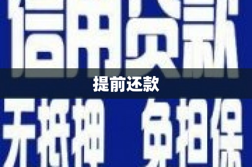 多伦提前还款