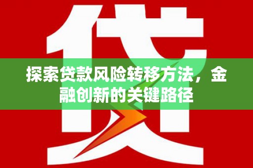 多伦探索贷款风险转移方法，金融创新的关键路径