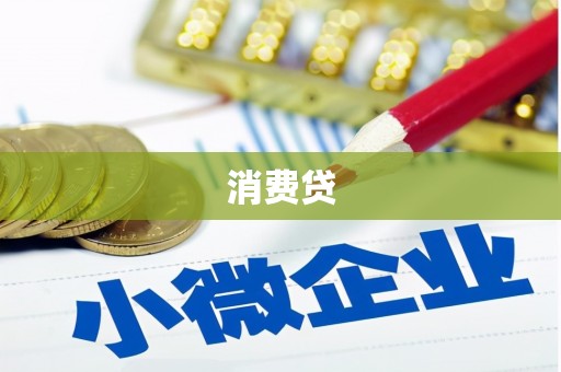 多伦消费贷