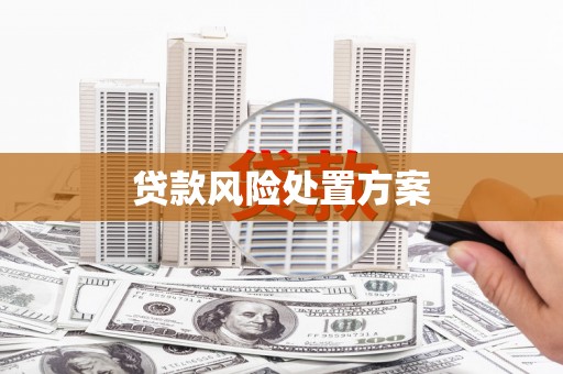 多伦贷款风险处置方案