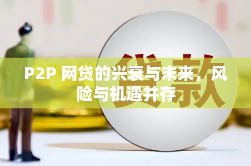 多伦P2P 网贷的兴衰与未来，风险与机遇并存