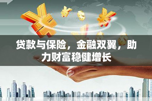 多伦贷款与保险，金融双翼，助力财富稳健增长