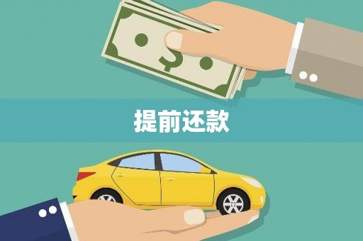 多伦提前还款