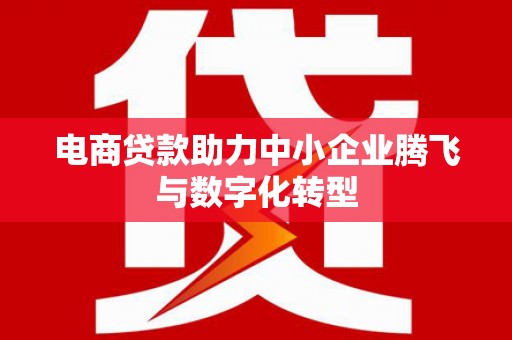 多伦电商贷款助力中小企业腾飞与数字化转型