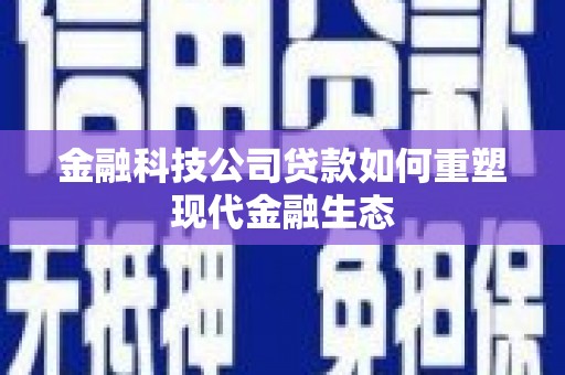 多伦金融科技公司贷款如何重塑现代金融生态