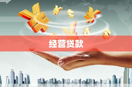 多伦经营贷款