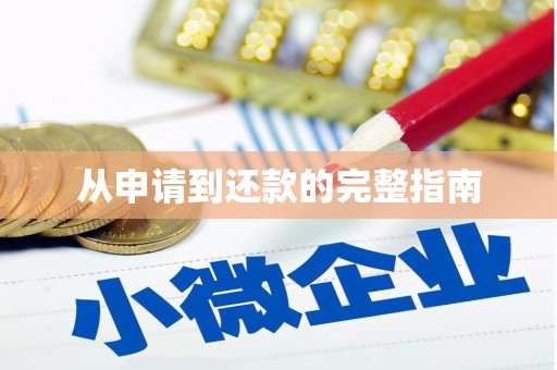 多伦从申请到还款的完整指南
