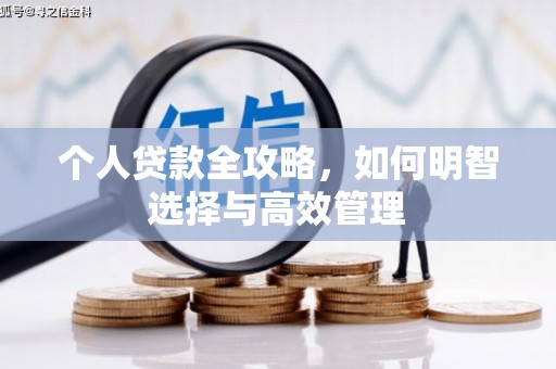 多伦个人贷款全攻略，如何明智选择与高效管理