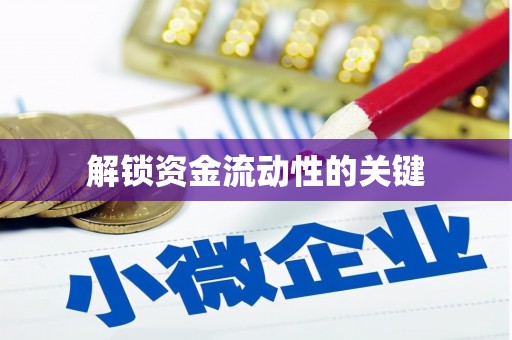 多伦解锁资金流动性的关键