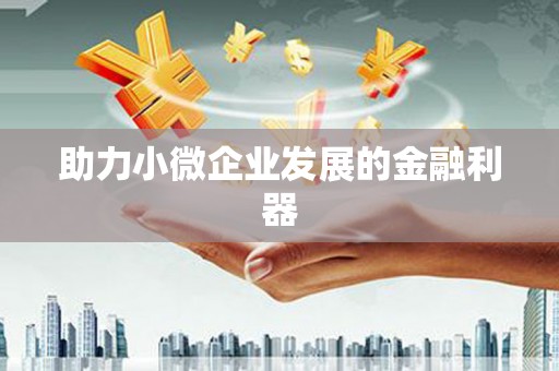 多伦助力小微企业发展的金融利器