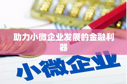 多伦助力小微企业发展的金融利器