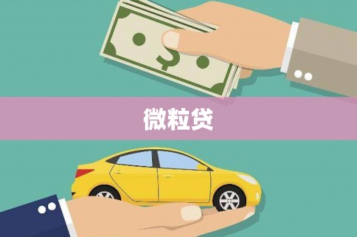 多伦微粒贷