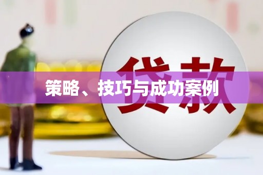 多伦策略、技巧与成功案例