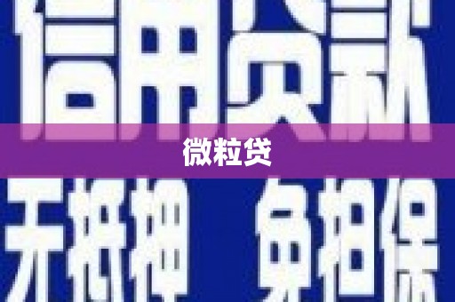 多伦微粒贷